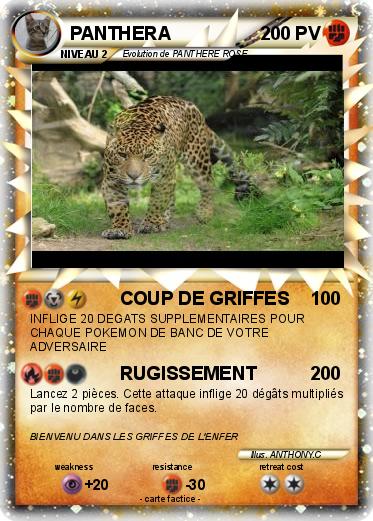 Pokemon PANTHERA