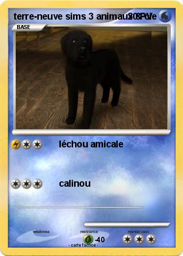 Pokemon terre-neuve sims 3 animaux & cie