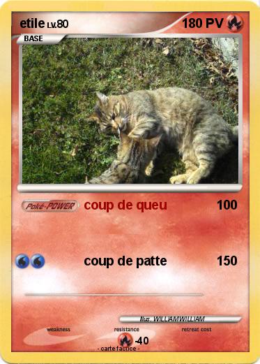 Pokemon etile