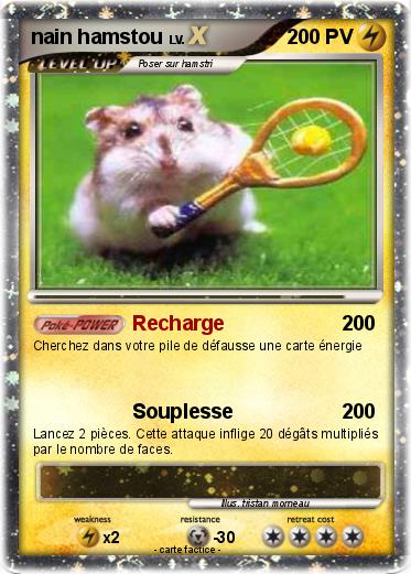 Pokemon nain hamstou