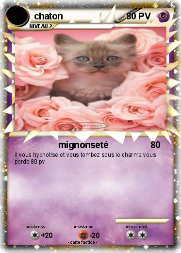 Pokemon chaton