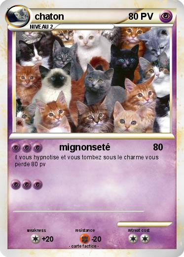 Pokemon chaton