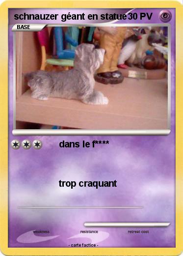 Pokemon schnauzer géant en statue
