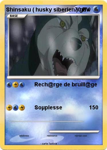 Pokemon Shinsaku ( husky siberien ) gdw