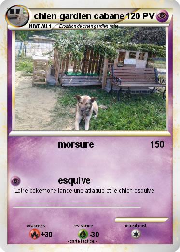 Pokemon chien gardien cabane