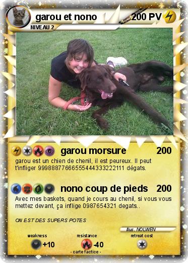 Pokemon garou et nono