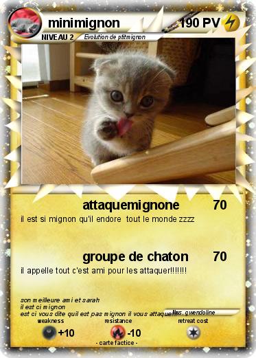 Pokemon minimignon