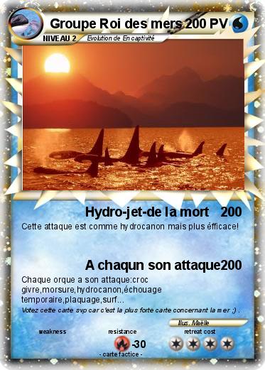 Pokemon Groupe Roi des mers