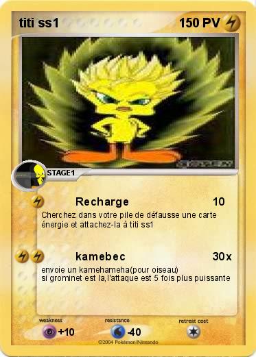Pokemon titi ss1
