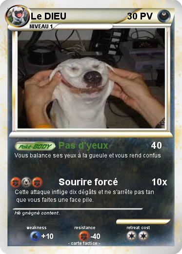 Pokemon Le DIEU