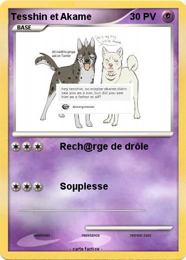 Pokemon Tesshin et Akame