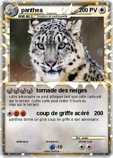 Pokemon panthea