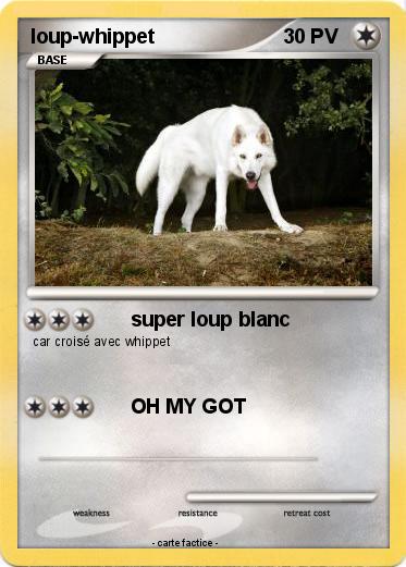 Pokemon loup-whippet
