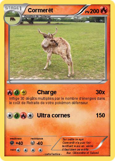 Pokemon Cormerêt