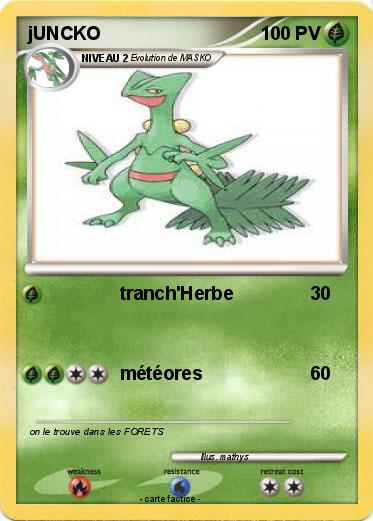Pokemon jUNCKO