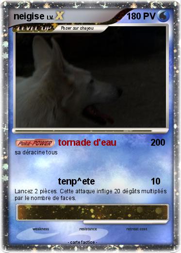 Pokemon neigise