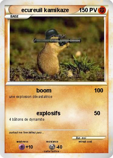 Pokemon ecureuil kamikaze