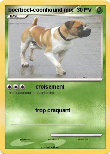 Pokemon boerboel-coonhound mix
