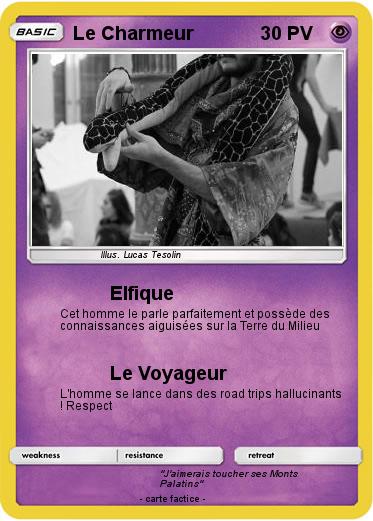 Pokemon Le Charmeur