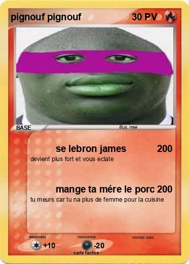 Pokemon pignouf pignouf