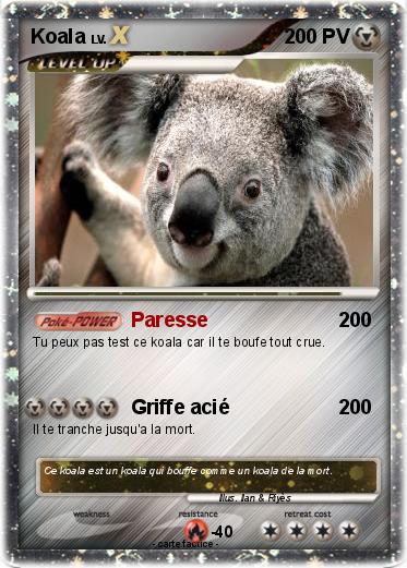 Pokemon Koala