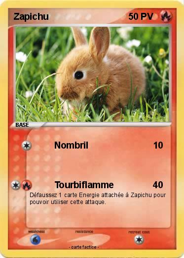 Pokemon Zapichu