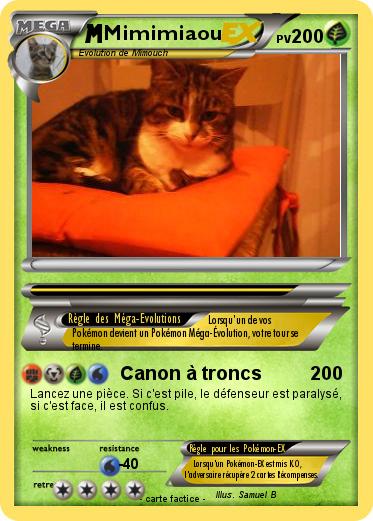 Pokemon Mimimiaou