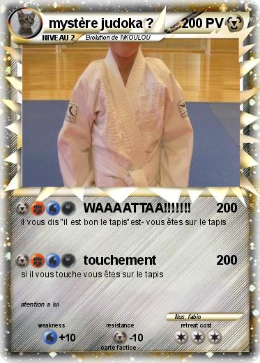 Pokemon mystère judoka ?