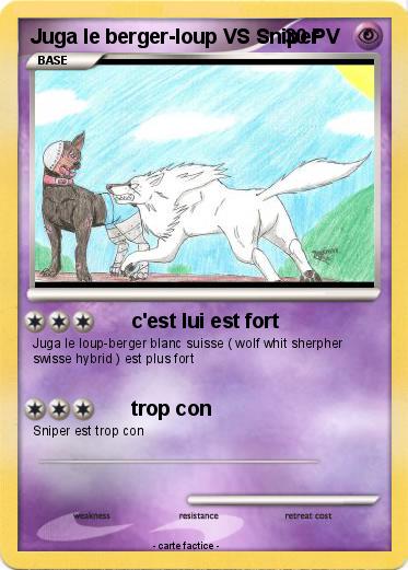 Pokemon Juga le berger-loup VS Sniper