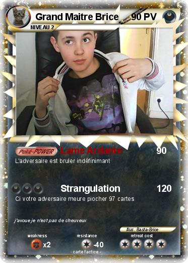 Pokemon Grand Maitre Brice