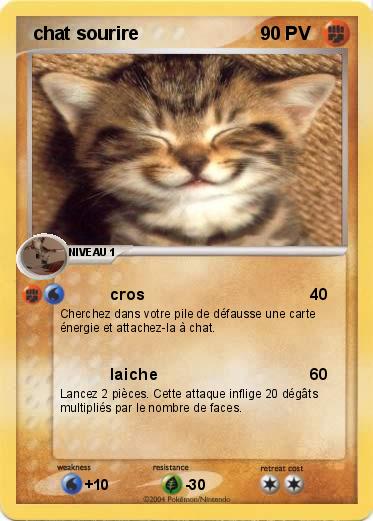 Pokemon  chat sourire