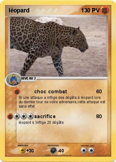 Pokemon léopard