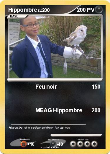 Pokemon Hippombre