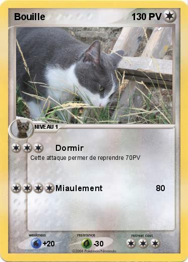 Pokemon Bouille