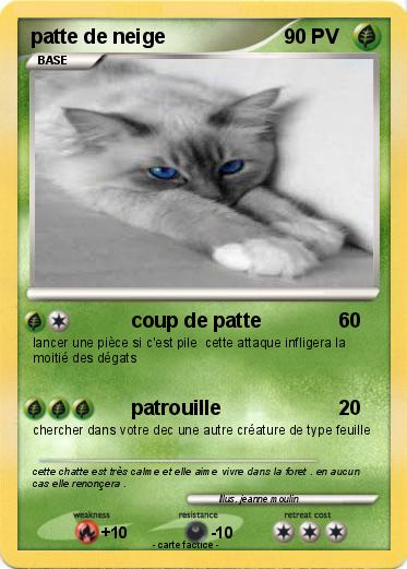 Pokemon patte de neige