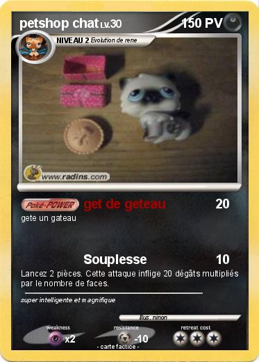 Pokemon petshop chat