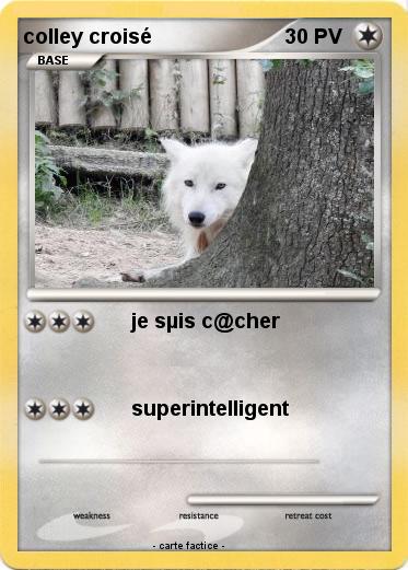 Pokemon colley croisé