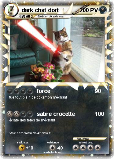 Pokemon dark chat dort