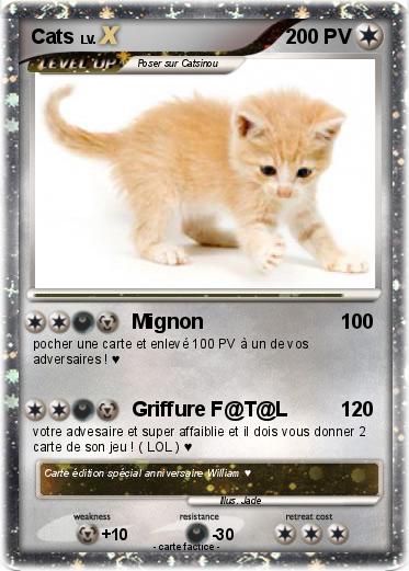 Pokemon Cats