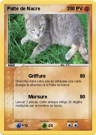 Pokemon Patte de Nacre