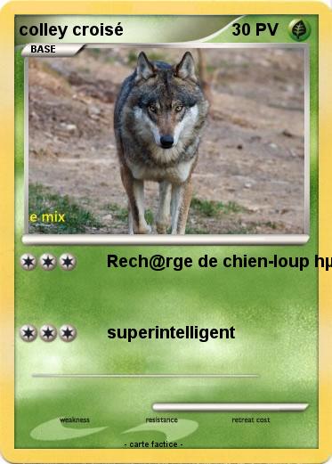 Pokemon colley croisé