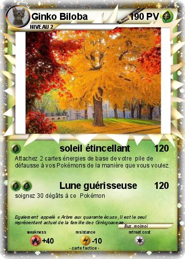 Pokemon Ginko Biloba