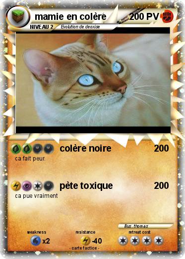 Pokemon mamie en colère