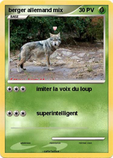 Pokemon berger allemand mix
