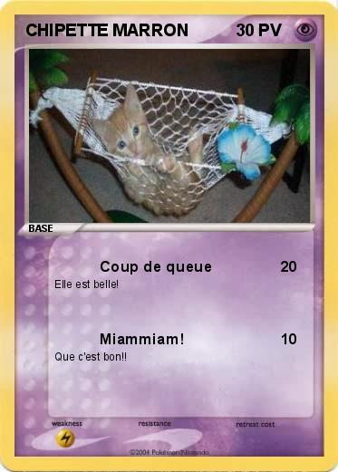 Pokemon CHIPETTE MARRON