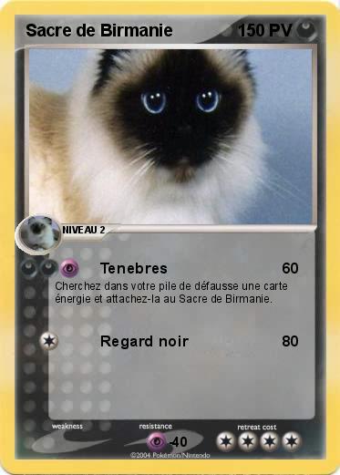 Pokemon Sacre de Birmanie