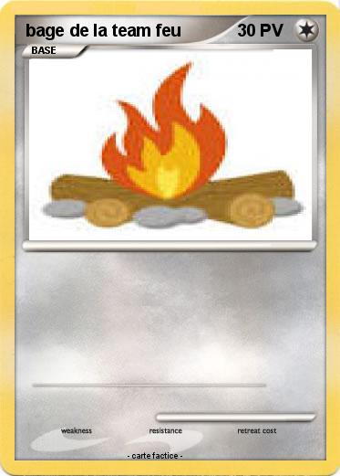 Pokemon bage de la team feu