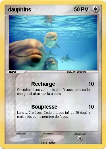 Pokemon dauphins