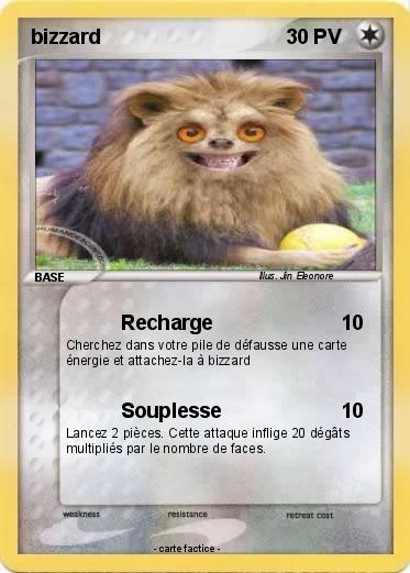 Pokemon bizzard