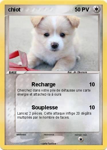 Pokemon chiot